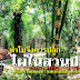 การปลูกไผ่เสริมรายได้ในสวนปาล์ม (จากการสังเกต ทดลองทำ และเก็บข้อมูล) โดย สวนไผ่อาบู