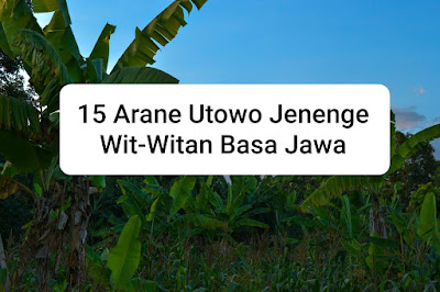 Arane Wit-witan ing Basa Jawa