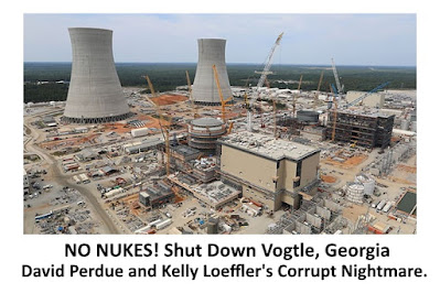 Senators David Perdue and Kelly Loeffler's Corruption at Vogtle Nuclear Power Plant in Georgia. Vote Them OUT! meme gvan42