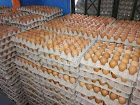 Agen Telur Ayam Ras di Jakarta Barat