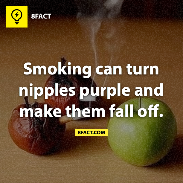 Random facts : - Smoking can turn nipples purple and make them fall off.