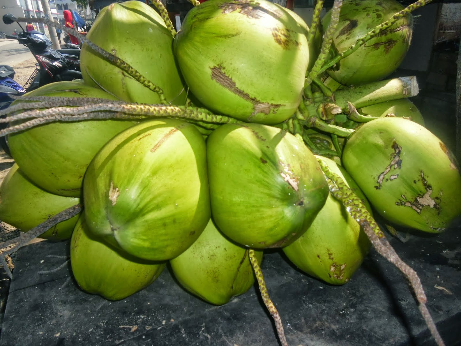 Fakta tentang air kelapa  yang belum kamu ketahui Unik News