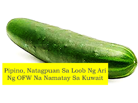 This is another gruesome death of an overseas Filipino worker after Joanna Demafelis. What's so shocking about this is that, according to the report, a cucumber was found inserted inside the private part of the victim. the death is after the government of the Philippines and Kuwait signed a memorandum of understanding ensuring the welfare and safety of every OFW deployed in the Gulf state.       Ads  A Filipina Overseas Worker (OFW) suffered and died in the hands of her employer. Her gruesome death revealed that a cucumber was inserted in her private part, according to the Department of Labor and Employment (DOLE).  A Filipino household worker has died at the hands of her employer in Kuwait – reportedly black and blue and with a “cucumber” inside her private part, the Department of Labor and Employment (DOLE) announced Thursday.  Citing initial reports, Labor Secretary Silvestre Bello III said that the 47-year-old victim was rushed to Al Sabah Hospital last May 14 but was declared dead on arrival.  “Her body bore various contusions and hematoma, with a ‘cucumber’ inside her private part,” Bello said in a statement late Thursday.  Labor Secretary Silvestre Bello said that the 47-year-old Filipina, identified as Constancia Lago Dayag, from Agadanan, Isabela, was rushed to Al Sabah Hospital on Tuesday after suffering various contusions and hematoma. She was later pronounced dead and doctors found a “cucumber” inside her private part.  The Labor Department is now talking to the Kuwaiti government on how another gruesome death happened in the country.  A Filipino household worker has died at the hands of her employer in Kuwait – reportedly black and blue and with a “cucumber” inside her private part, the Department of Labor and Employment (DOLE) announced Thursday.  Citing initial reports, Labor Secretary Silvestre Bello III said that the 47-year-old victim was rushed to Al Sabah Hospital last May 14 but was declared dead on arrival.  The Filipina was deployed as a household service worker in January 2016 to Kuwait and returned in 2018 as a Balik-Manggagawa on a second contract with her Kuwaiti employer, according to the foreign affairs department.  The Philippine-Kuwait relations took a hit when the news of Pinay OFW Joanna Demafelis triggered public outcry when her body was found in a freeze years after she lost contact with her family.  The two governments then made arrangements to create a Memorandum of Understanding to ensure that Filipino workers’ rights are protected.  A Filipina Overseas Worker (OFW) suffered and died in the hands of her employer. Her gruesome death revealed that a cucumber was inserted in her private part, according to the Department of Labor and Employment (DOLE).  Labor Secretary Silvestre Bello said that the 47-year-old Filipina, identified as Constancia Lago Dayag, from Agadanan, Isabela, was rushed to Al Sabah Hospital on Tuesday after suffering various contusions and hematoma. She was later pronounced dead and doctors found a “cucumber” inside her private part.  The Labor Department is now talking to the Kuwaiti government on how another gruesome death happened in the country.  The Filipina was deployed as a household service worker in January 2016 to Kuwait and returned in 2018 as a Balik-Manggagawa on a second contract with her Kuwaiti employer, according to the foreign affairs department.  The Philippine-Kuwait relations took a hit when the news of Pinay OFW Joanna Demafelis triggered public outcry when her body was found in a freeze years after she lost contact with her family.  The two governments then made arrangements to create a Memorandum of Understanding to ensure that Filipino workers’ rights are protected.  Bello has expressed his deep sympathy for the death of the OFW and condemned the gruesome killing.   Ads      Sponsored Links    The Foreign Affairs Department in a statement said it is now coordinating with Kuwaiti authorities to conduct an investigation on the Filipina’s death.  “Embassy Charge d’Affaires Mohd. Noordin Pendosina N. Lomondot also said that the Embassy has also requested Kuwait’s General Forensics and Evidence Department to expedite the release of the forensic report, which is usually processed within four to six weeks.” the DFA said in a statement.