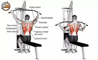 Chest and Back Superset Workout