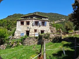DSC02452
