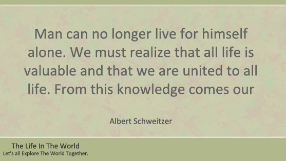 Top 10 Albert Schweitzer Quotes - The Life In The World 