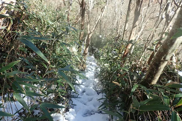 雪が溶け始めた登山道