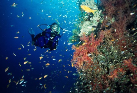 Lembeh Strait