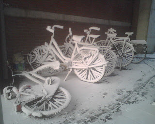 Fietsen in de sneeuw, Ir. J.P. van Muijlwijkstr