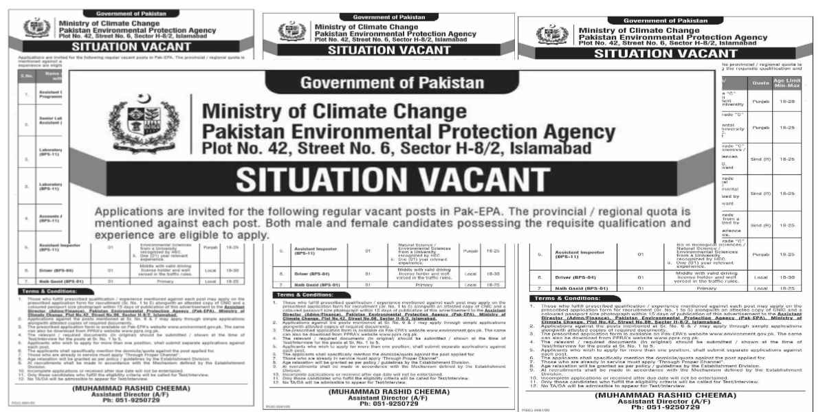 Ministry Of Climate Change Pakistan Environmental Protection Agency Jobs 2021