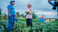 Cawagub dr. Jihan Nurlela Camping di Temiangan Hill, Grebek Pasar, Hingga Dialog Petani di Lampung Barat