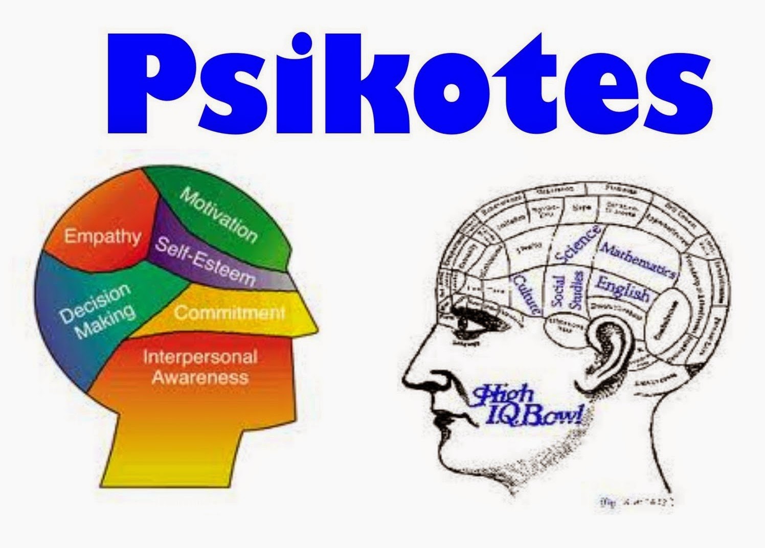 Karakteristik Utama Psikotes dari Metode TONIPEDIA