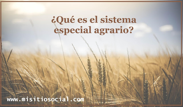 seguridad social sistema especial agrario