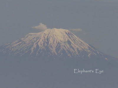 Mount Ararat