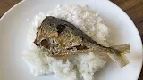 Pulut Pagi Dan Bab Musim Panas 