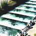 Fish Ladder - Bonneville Fish Ladder