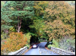 Glens of Antrim