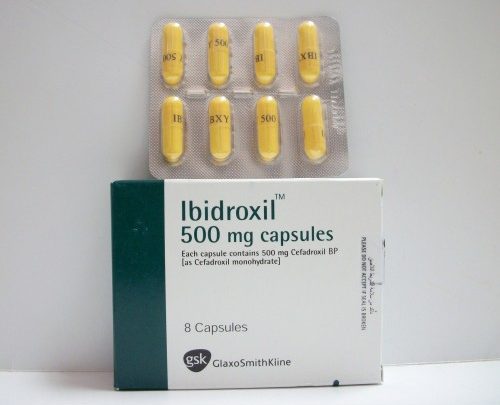 سعر كبسولات أبيدروكسيل Ibidroxil مضاد حيوى