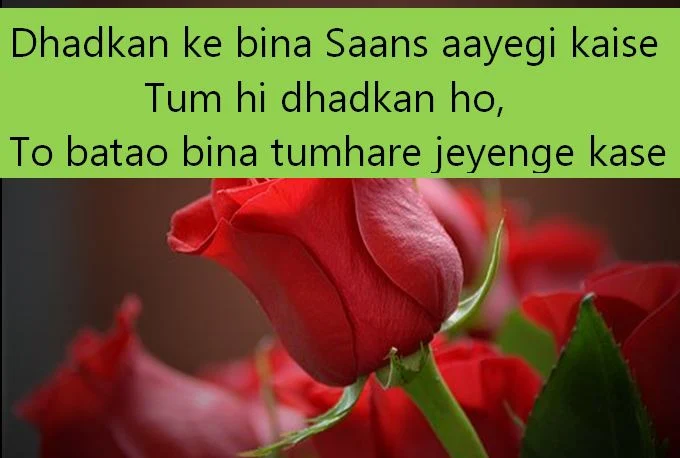 dil shayari pic in hindi, dil shayari pictures download