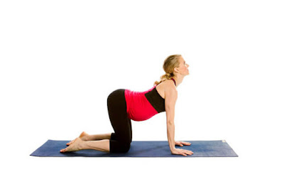 Yoga Poses | Health Partner 