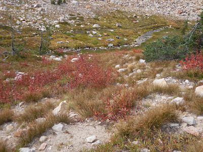 Fall is on its way - Sawtooth Wilderness