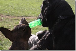 IMG_6370