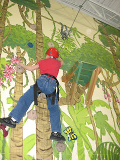 Luke on the climbing wall