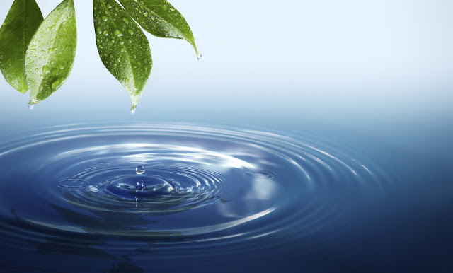 Kangen Water World Most Safest Water For Health