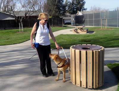 Wendy finding the garbage can for Glenda and she looks up to Glenda for a food reward.