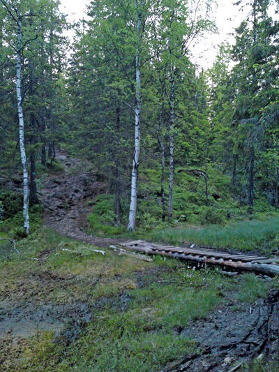DSC00590_edited