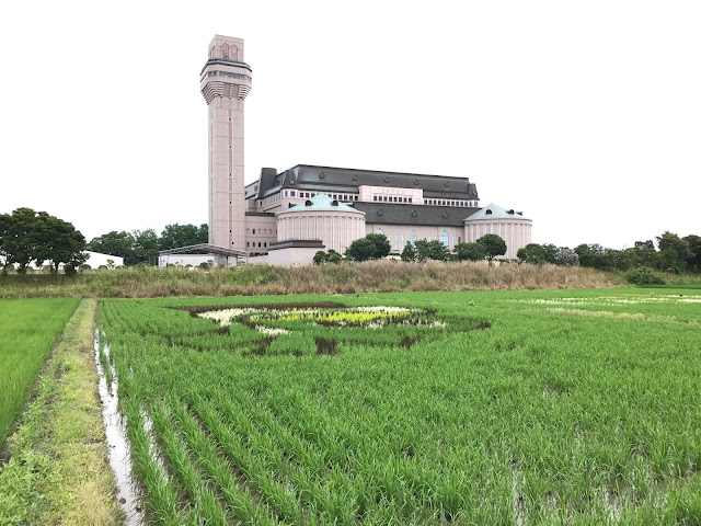 こしがや田んぼアート2017銀河鉄道999（7/2）