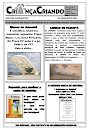 Boletim Informativo Julho/Agosto 2022