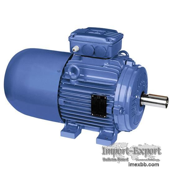 Ac Motor With Brake1