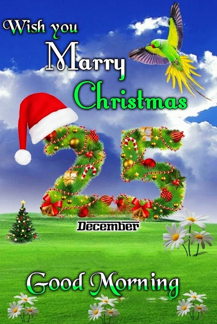 Wish You Merry Christmas Images