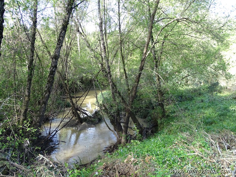 Senderos de Castellar