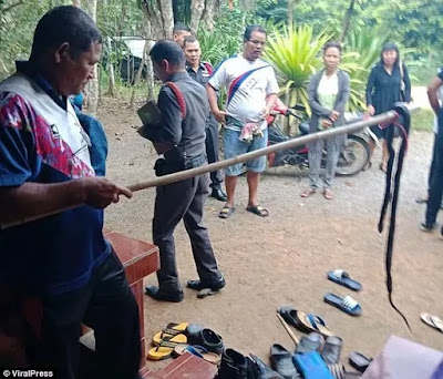 Photos and Video of a 9-year-old girl who died after being bitten in bed by a cobra