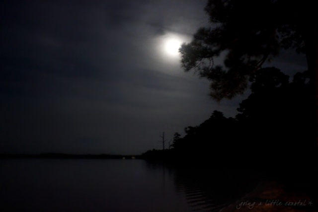 moonlight_edited-1