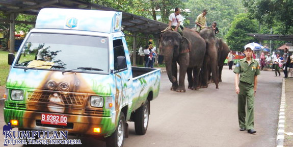 Parade Satwa Ragunan