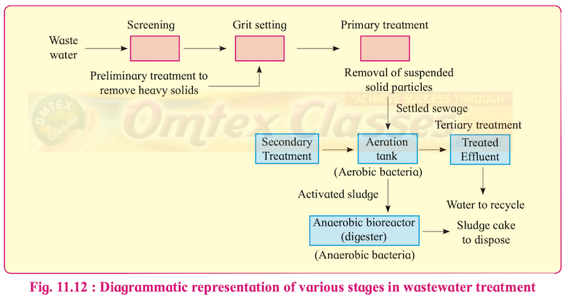 Chapter 11 Enhancement of Food Production Balbharati Solutions for Biology 12th Standard HSC Maharashtra State Board