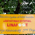 Linafoot 2015 : voici la composition de deux poules ! 