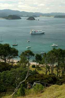 Oceanic Discoverer moored off Roberton Island as seen from the lookout