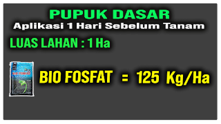 Panduan Pemupukan Padi Yang Benar dan Tepat dari Awal Sampai Akhir