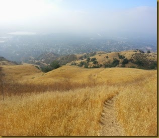2013-06-15 08.48.22
