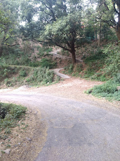 Road from Sari to Jaisinghpur