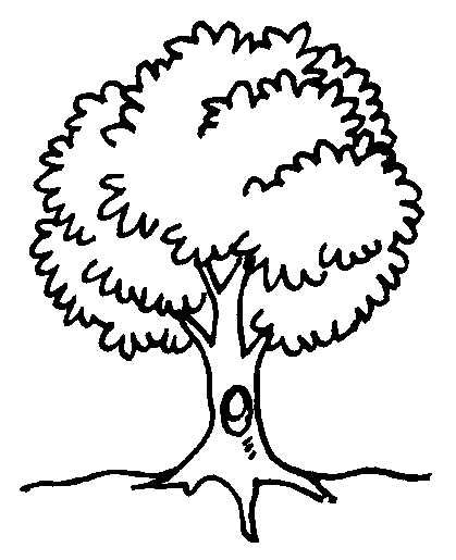 Sekitar Kawasan Sekolah: Gambar Outline_Bunga Pokok