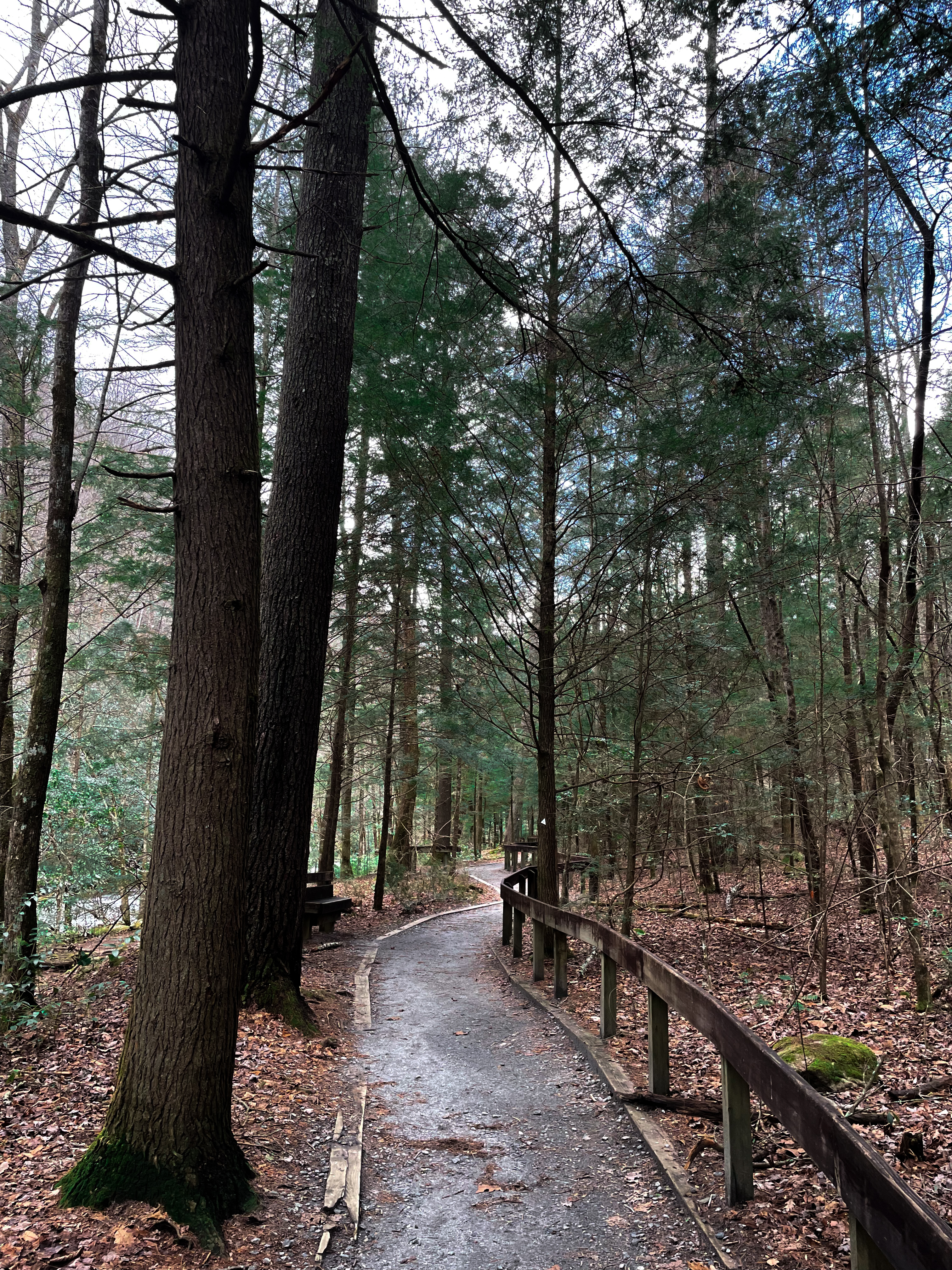 Hemlock Nature Trail at South Mtns State Park