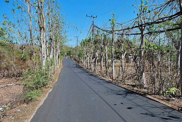 Carretera estrecha