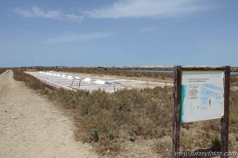 Ruta de los Esteros (Chiclana)