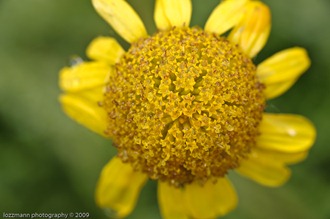 LT3_09669