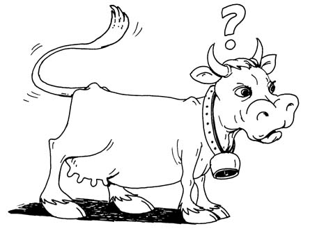 Cartoon Cow